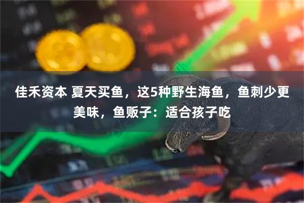 佳禾资本 夏天买鱼，这5种野生海鱼，鱼刺少更美味，鱼贩子：适合孩子吃