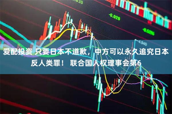爱配投资 只要日本不道歉，中方可以永久追究日本反人类罪！ 联合国人权理事会第6