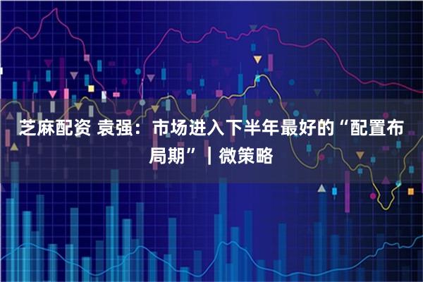 芝麻配资 袁强：市场进入下半年最好的“配置布局期”｜微策略